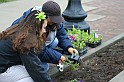 IMG_8494x