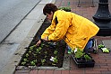 IMG_8516x
