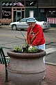 IMG_8544x