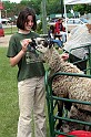 IMG_8098-4x6