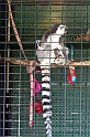 IMG_8128-4x6