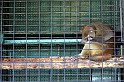 IMG_8130-4x6