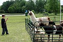 IMG_8134-4x6