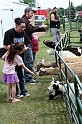 IMG_8142-4x6