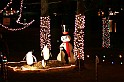 IMG_2401-x