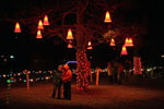 Beaverton Tree Lighting