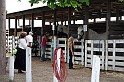 IMG_5892x