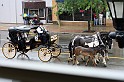 IMG_5997x