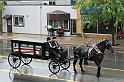 IMG_6012x