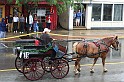 IMG_6029x