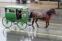 IMG_6037x