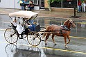 IMG_6048x