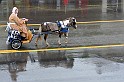 IMG_6052x