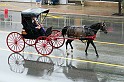 IMG_6065x
