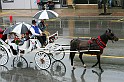 IMG_6074x