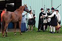 IMG_6113x