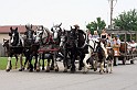 IMG_6327x