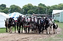 IMG_6478x