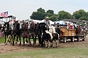 IMG_6480x