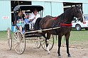 IMG_6492x