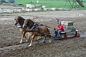IMG_3090x