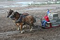 IMG_3092x
