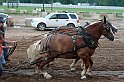 IMG_3108x