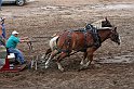 IMG_3112x
