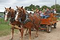 IMG_5267x