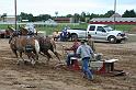 IMG_5355x