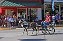 IMG_5417x