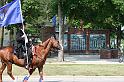 IMG_8904x