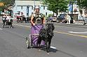 IMG_9008x