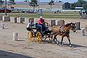 IMG_9868x