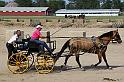 IMG_9869x