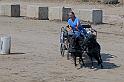 IMG_9879x