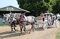 IMG_9921x