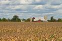 IMG_7942x