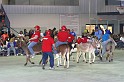 IMG_7170x