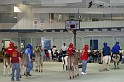 IMG_7254x