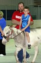 IMG_7431x