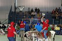 IMG_7513x