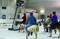 IMG_1698-4x6