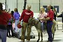 IMG_1759-4x6