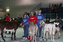 IMG_1808-4x6