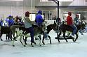 IMG_1894-4x6