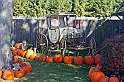 IMG_8668x