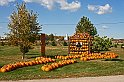 IMG_8744x