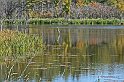 IMG_8810x