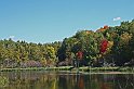 IMG_8813x-Herron-BardRd